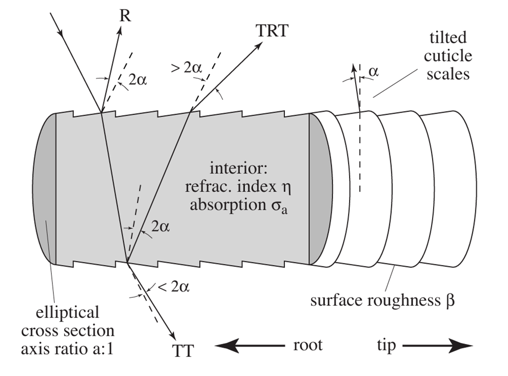 头发渲染相关论文复现